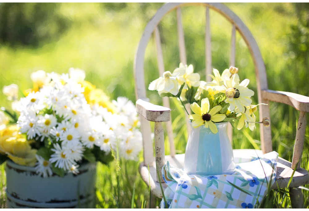 ¿Cómo decorar fácilmente su jardín?  